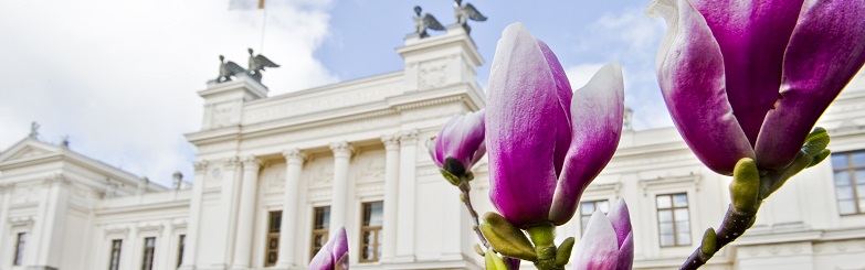Bild på universitetshuset. 