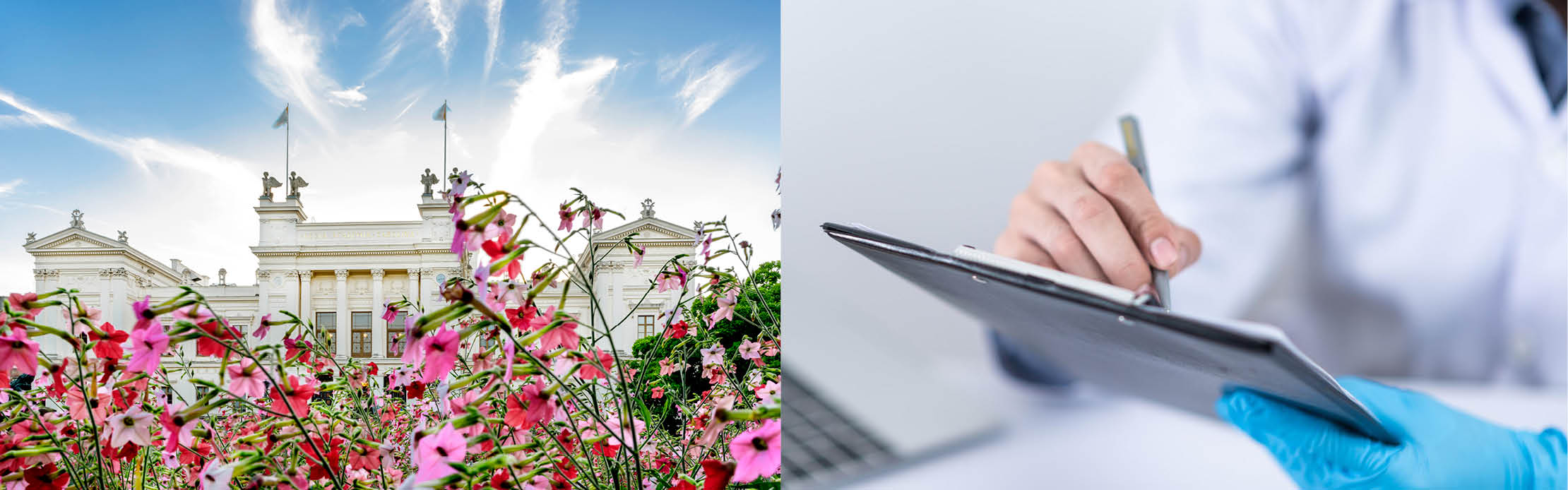 Universitetshuset med sommarblommar och sjukvård